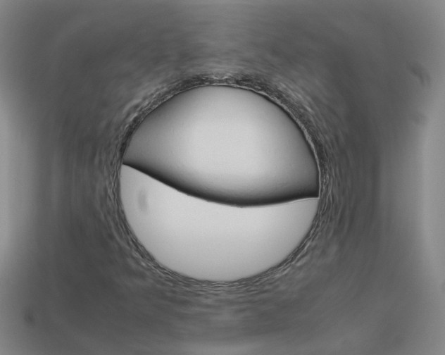 X0000113991349200910021001