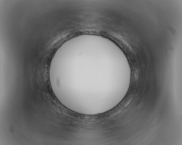 X0000113991350200910021001