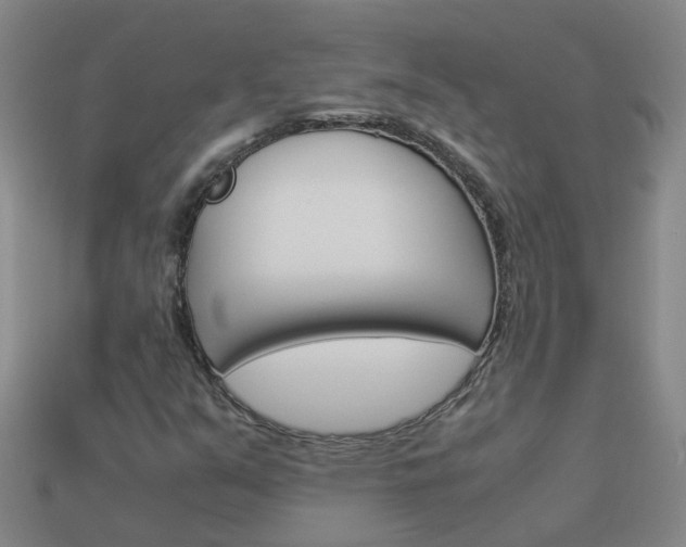 X0000113991351200910021001