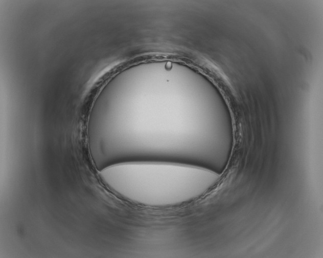 X0000113991352200910021001