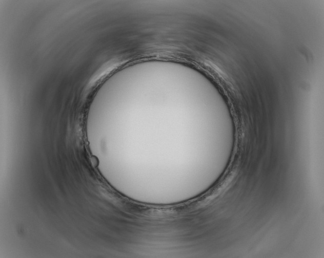 X0000113991354200910021001