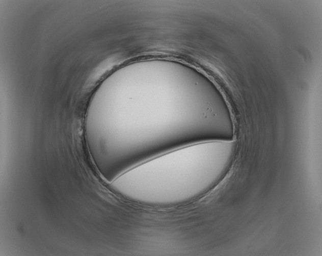 X0000113991355200910021001