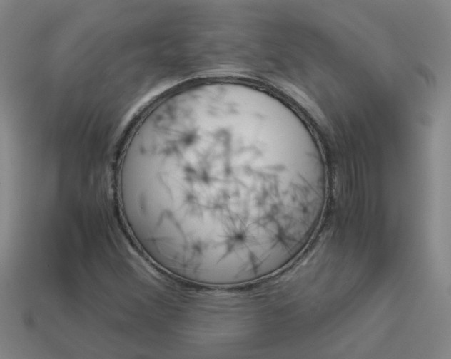 X0000113991356200910021001