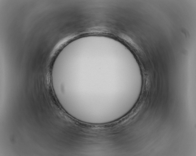 X0000113991358200910021001