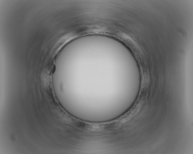 X0000113991361200910021001