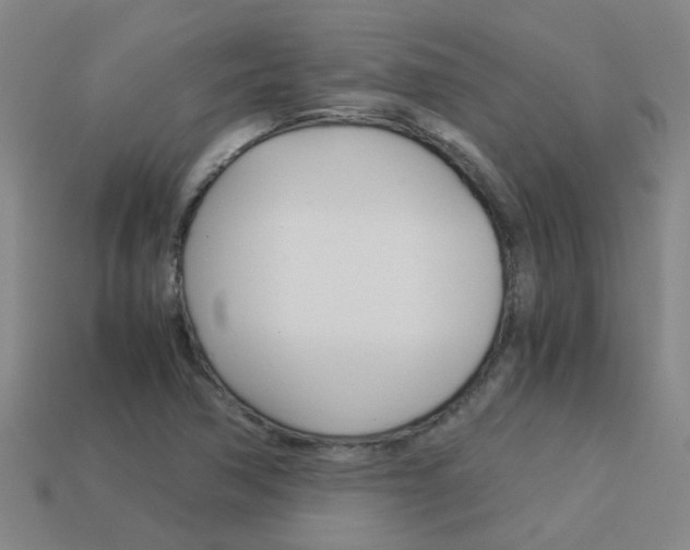 X0000113991362200910021001