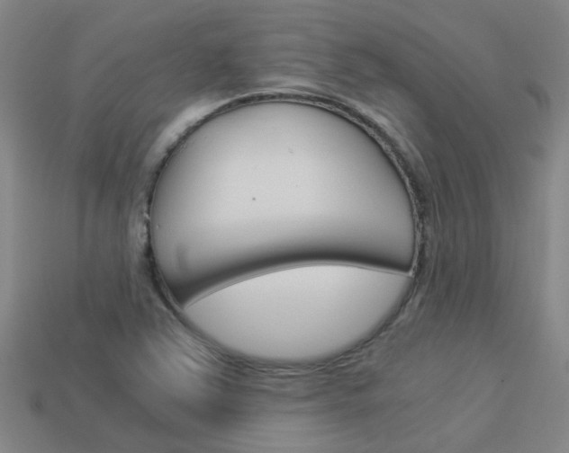 X0000113991363200910021001