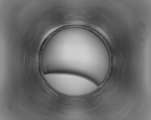 X0000113991364200910021001