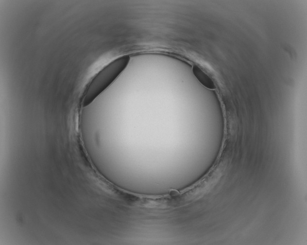 X0000113991365200910021001