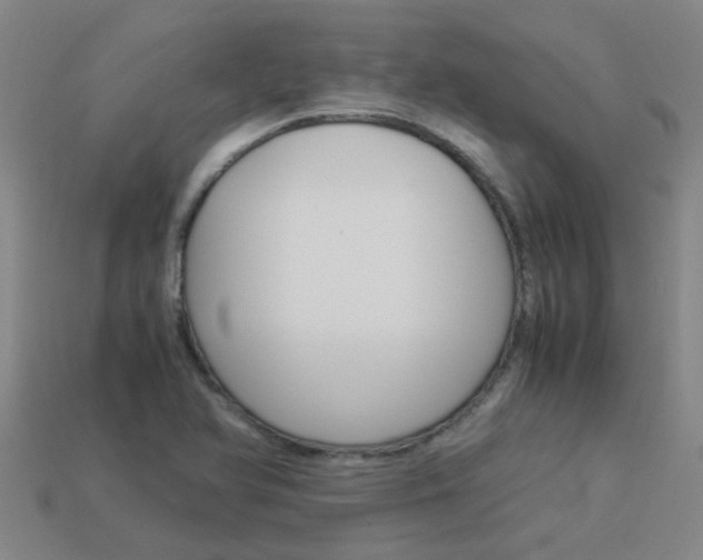 X0000113991366200910021001