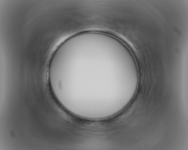 X0000113991367200910021001
