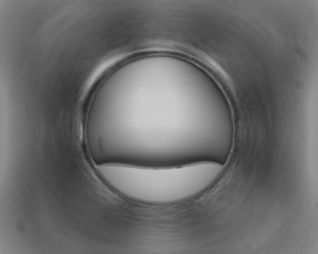 X0000113991368200910021001