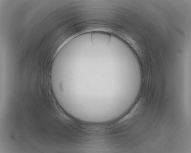 X0000113991369200910021001
