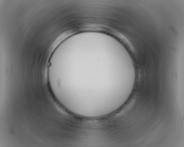 X0000113991370200910021001