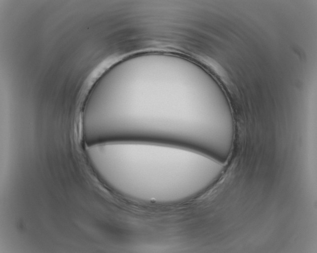 X0000113991371200910021001