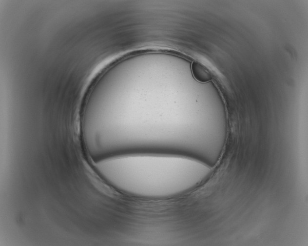 X0000113991372200910021001