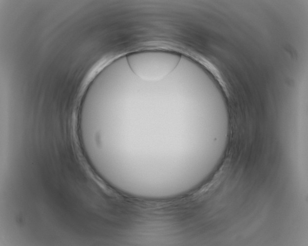 X0000113991373200910021001