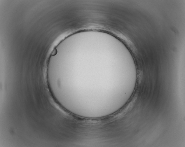 X0000113991374200910021001