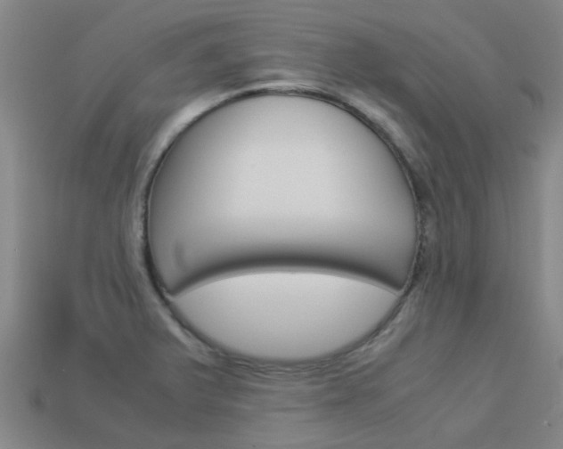 X0000113991375200910021001