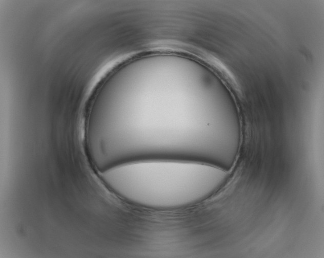 X0000113991376200910021001