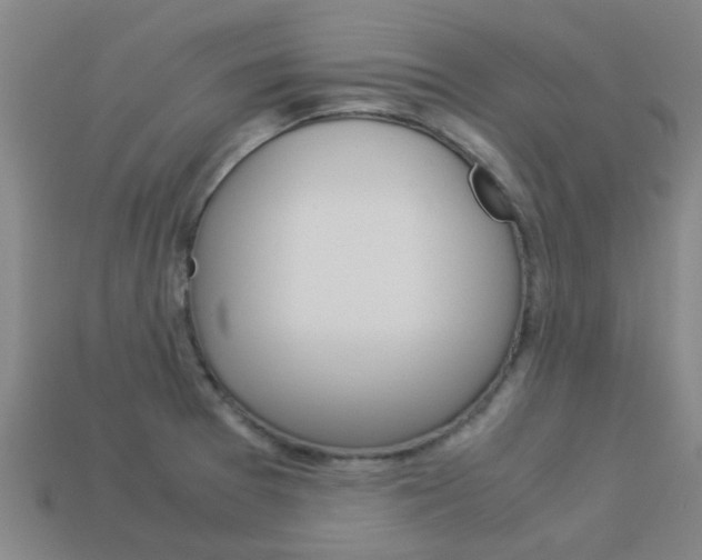 X0000113991377200910021001