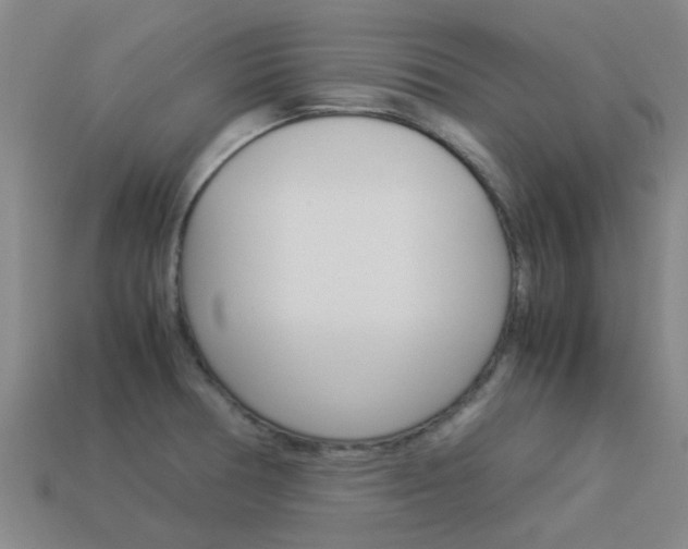 X0000113991378200910021001