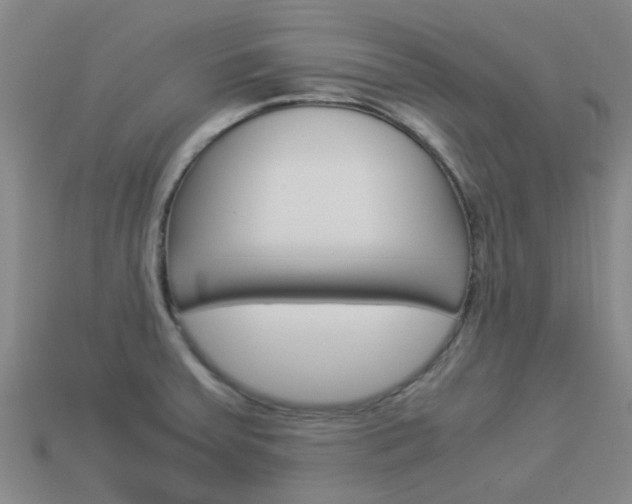 X0000113991379200910021001