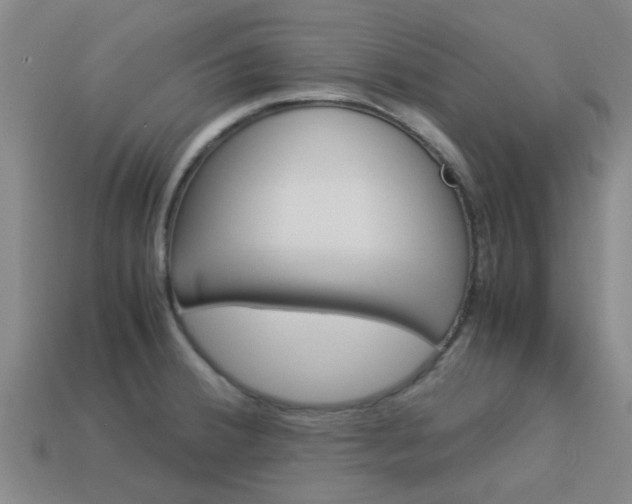 X0000113991380200910021001