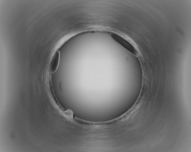 X0000113991381200910021001