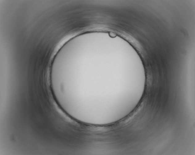 X0000113991382200910021001