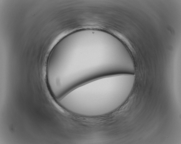 X0000113991383200910021001