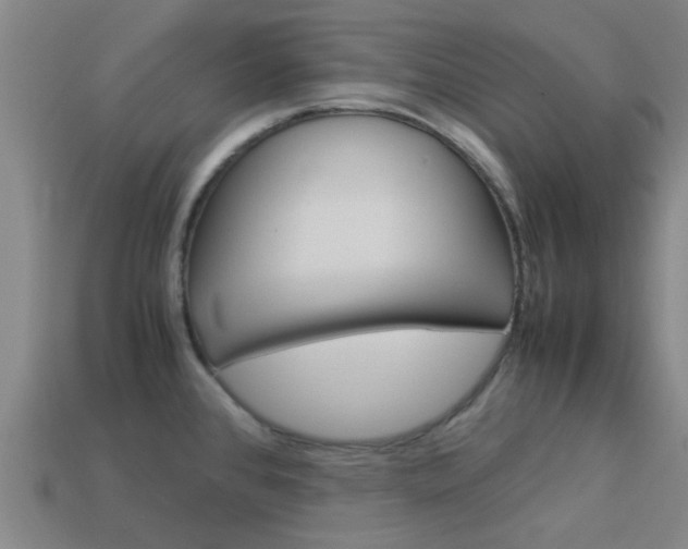 X0000113991384200910021001