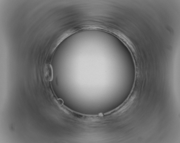 X0000113991385200910021001