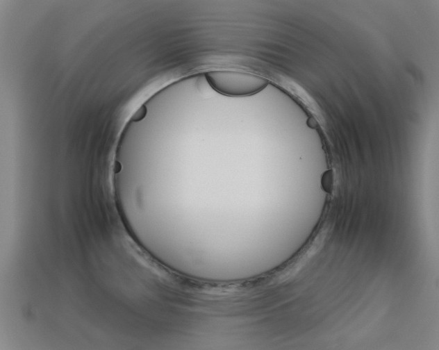 X0000113991386200910021001