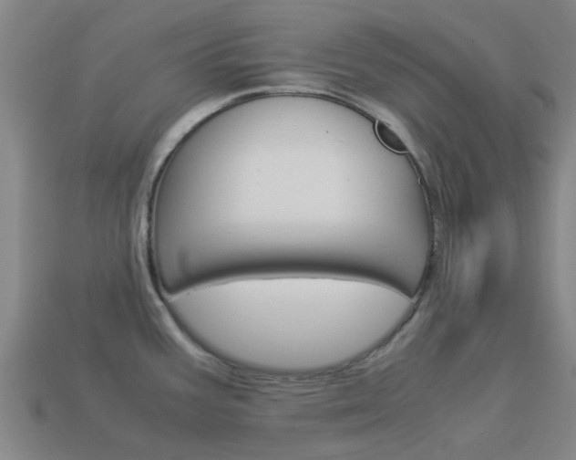 X0000113991387200910021001