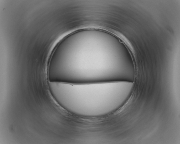 X0000113991388200910021001