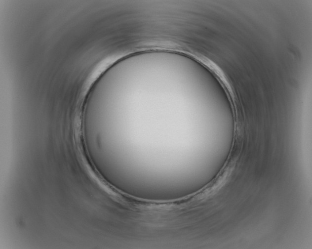 X0000113991389200910021001