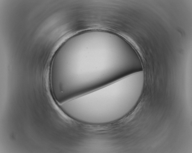 X0000113991391200910021001