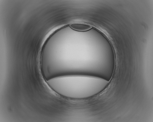 X0000113991392200910021001