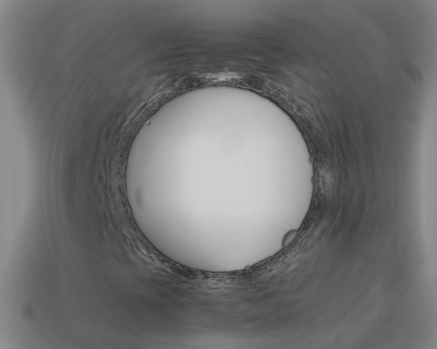 X0000113991393200910021000