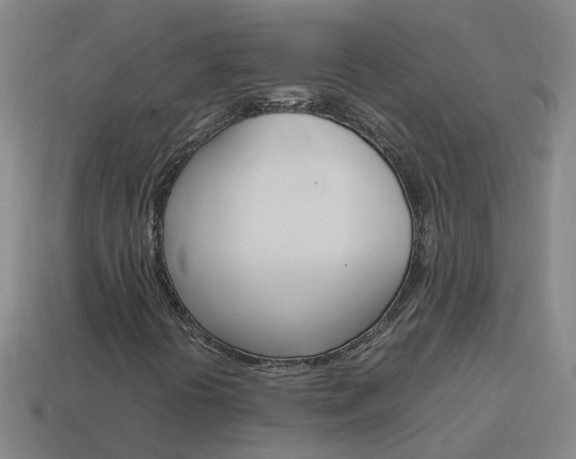 X0000113991394200910021000