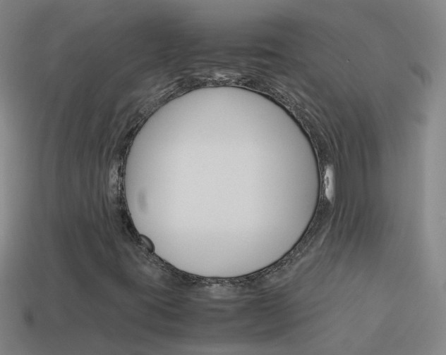 X0000113991395200910021000