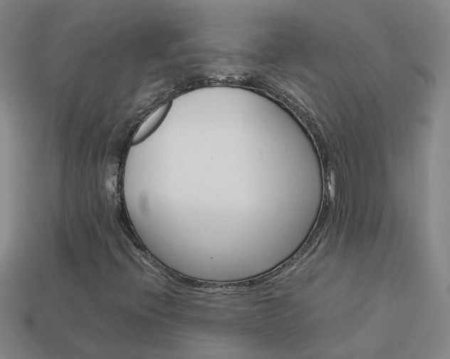 X0000113991396200910021000