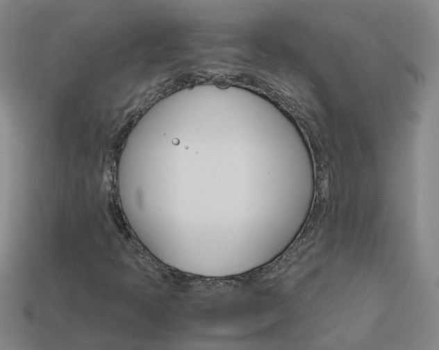 X0000113991397200910021000