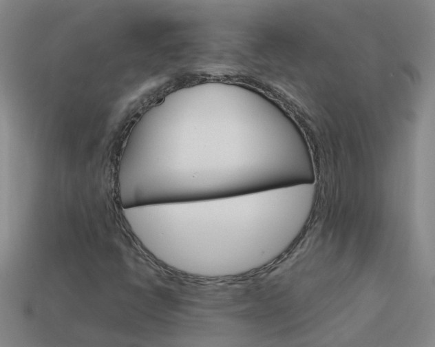 X0000113991398200910021000