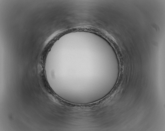 X0000113991400200910021000