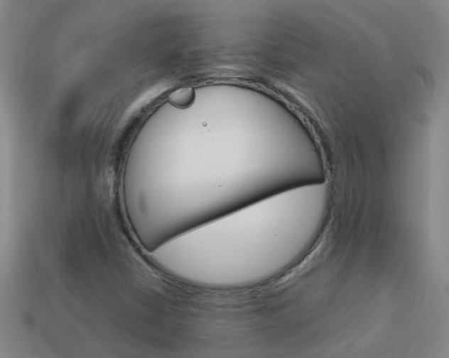X0000113991402200910021000