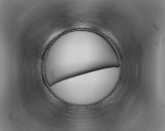 X0000113991404200910021000