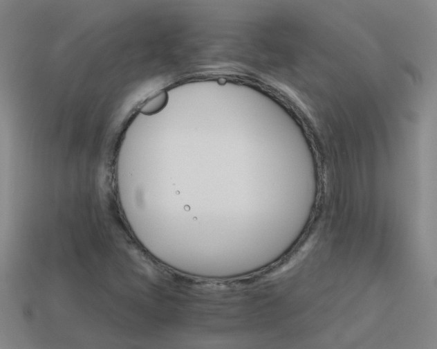 X0000113991405200910021000