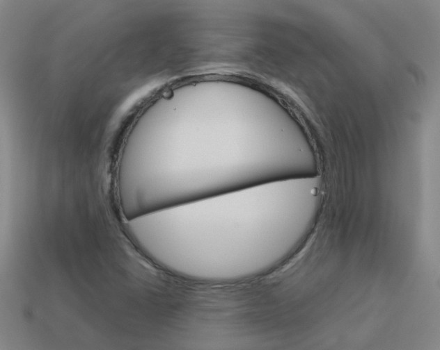 X0000113991406200910021000